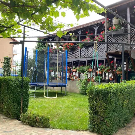 Casa Ciobi 3*