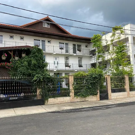 Casa Ciobi Guest house 2 Mai
