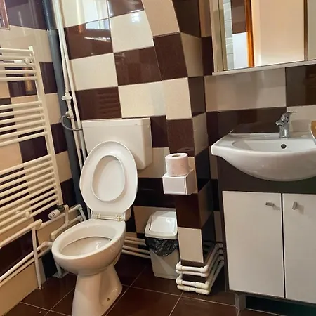 Casa Ciobi Guest house